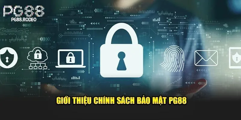 Giới thiệu chung về chính sách bảo mật pg88